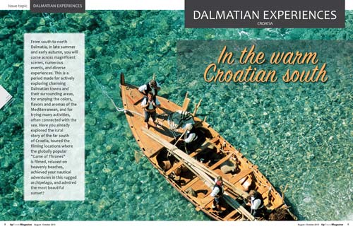 Dalmatian experiences