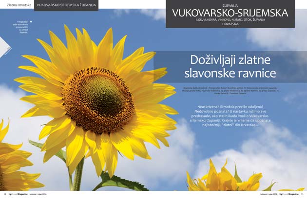 Vukovarsko-srijemska županija